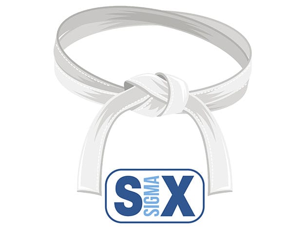 six sigma belts certification