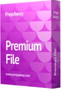 Professional Data Engineer Premium File